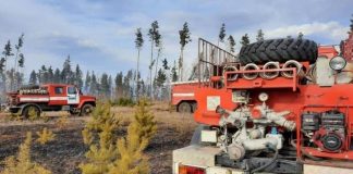 За сутки в Прибайкалье выявили и потушили 17 лесных пожаров