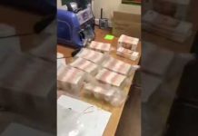 Бывают странные сближения: дело Левчугова и дело Кляйна