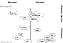 Молодежные организации в современной России // Провластные молодежные организации