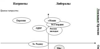 Молодежные организации в современной России // Провластные молодежные организации