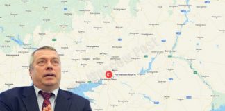 Не губернатором, так полномочным представителем: глава Ростовской области прощупывает почву