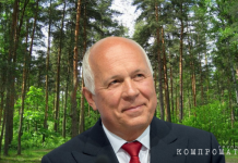 Для Сергея Чемезова нашлось место под «Сосновками»