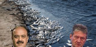 Грязная вода Блявы «взыскует» к Махмудову?