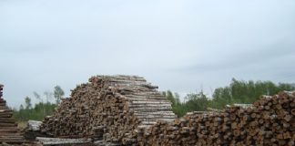 В первой половине июня из Томской области на экспорт ушла 131 тысяча кубометров древесины
