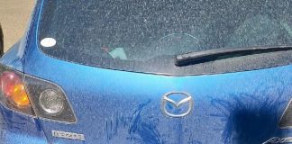 В Зеленогорске наказали женщину, которая оставила младенца в машине под палящим солнцем