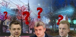 Волшебство-деревья либо в чей карман летят миллионы Ставрополя