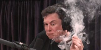 Боты, которых никто не считал. Сделка Илона Маска по приобретению Твиттер оказалась на грани отмены