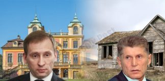 Домашний бизнес руководителя Министерства природных ресурсов добрался до казны Амурской области?