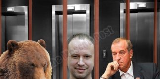 Левченко: яблоко от яблони?