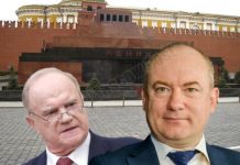 «Анти-упоротый лис» стал главой