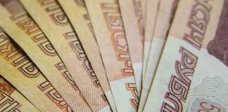Государственный долг Новосибирской области вырос на пять миллиардов