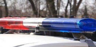 В Хабаровске сотрудники ДПС привязали задержанных к дереву и пытали