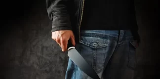 В Новосибирске парень зарезал девушку на дороге. Убийство попало на камеру видеорегистратора