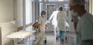 В России выявили первый случай заражения оспой обезьян