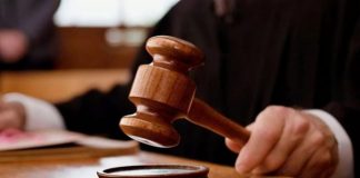 В Волгоградской области судьи оправдали живодеров задушивших беременную лосиху