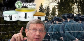 Гиперболоид Евтушенкова: лес пилят, средства летят