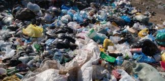 362 миллиона рублей было выделено на ликвидацию свалок в Новосибирске