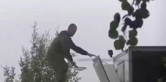 «Главрыбвод» обвинили в убийстве 1,5 тысячи мальков краснокнижного осетра в Красноярье