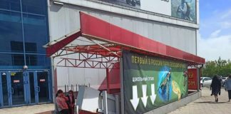 «Концлагерь с черепахой». Прокуратура нашла нарушения на выставке животных в Красноярске