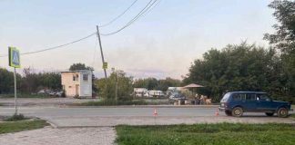 В Новосибирске под колеса «Нивы» попал дошкольник