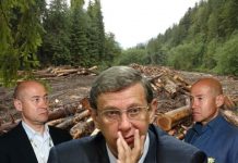 «Илим» — «американский пирог» для Евтушенкова?
