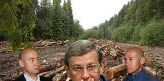 «Илим» — «американский пирог» для Евтушенкова?