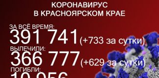 Ковид в Красноярье: 733 заболевших и один летальный случай