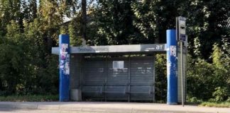 Полицейские ищут новосибирца, избившего девушку на остановке