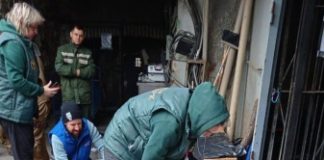 У раненой медведицы из Диксона нашли полсотни отверстий от картечи