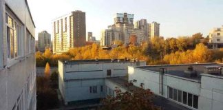 В Новосибирске девочка упала в обморок на школьной линейке