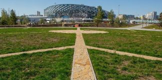 В Новосибирске начали озеленять территорию возле нового ЛДС