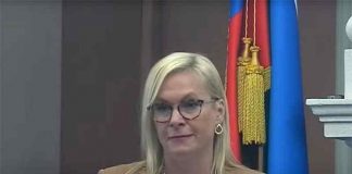 Вице-мэр Новосибирска хочет заменить все тополя в городе