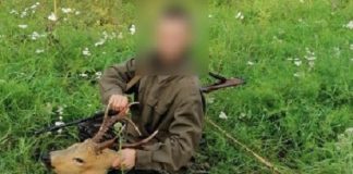 Житель Томской области застрелил косулю и оставил улику – селфи