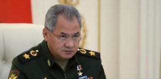 Мужская доля Елены Шебуновой.