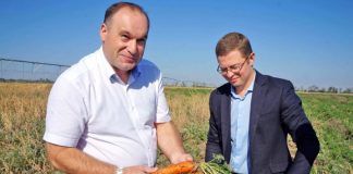 Плавный переход либо спешная эвакуирование? Владимир Ситников переместился в ставропольский земельный институт
