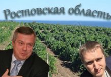 Бескомпромиссный вы наш: что прячется за молчанием ростовского главу региона Голубева