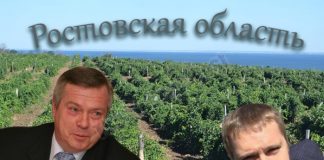 Бескомпромиссный вы наш: что прячется за молчанием ростовского главу региона Голубева
