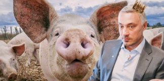 Молчание ягнят: сколько стоит тютюшевский иммунитет