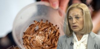 Беспозвоночные, от сушек до Светланы Маковской