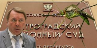 Комар Кожина «не подточит»