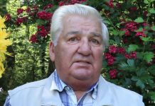 Экс-парламентарий и руководитель «Беларуськалия» Калугин держал в банке $1,3 млн, предприниматель-жулик Ларицкий — $3,2 млн, «кошелек Лукашенко» Олексин — $36 млн