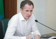 Разворошил гнездо: как пиарщики «отравили» главу региона Гладкова