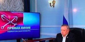 Специалист политологии Елисеева назвала необычным решение назначить на «прямую линию» вице-главу региона Казарина