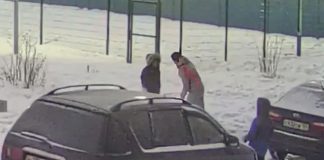 Глава Следственного комитета России заинтересовался нападением соседки на ребенка в Новосибирске