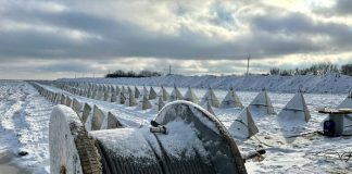Блатной отряд