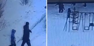 Александр Бастрыкин заинтересовался избиением мальчика в Бердске