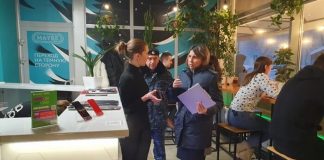 Мы не мыши, мы — крысы, либо Механизм работы госслужащих из города Томск