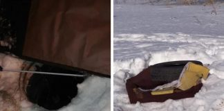 Глава СКР заинтересовался падением ребенка в колодец в Новосибирске