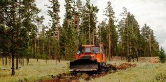 В Бурятии выделили 803 миллиона рублей на охрану лесов от пожаров