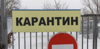 В Новосибирской области ввели карантин из-за очага бешенства